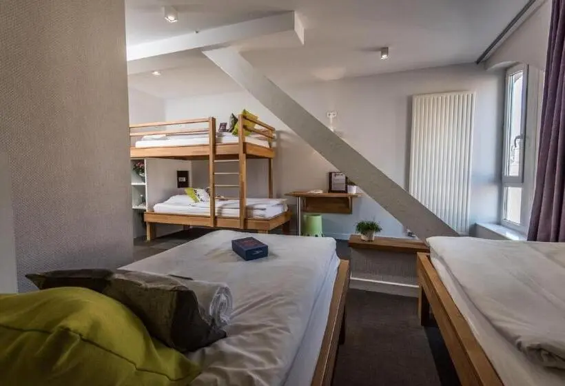 Habitació Quàdruple Estàndard, Ciarus