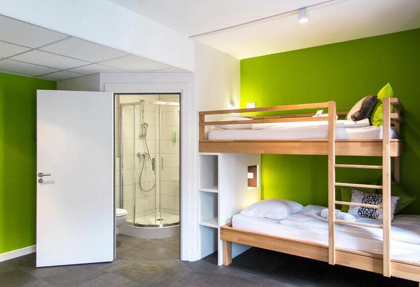 4인용 스탠다드 룸, Ciarus