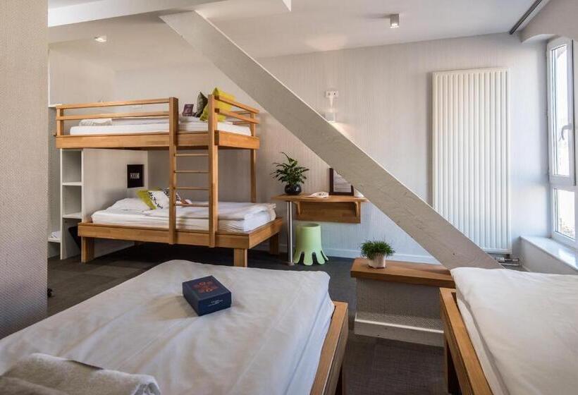 공동 객실, Ciarus