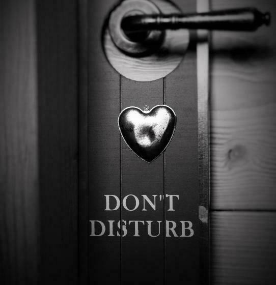 スタンダードルーム, Ca Viro