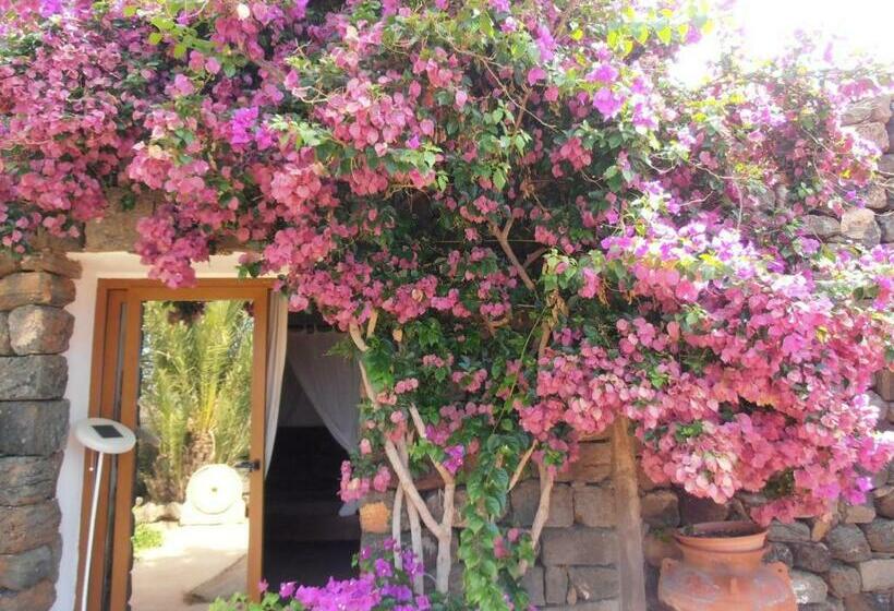 스위트, Don Mario Resort Adults Only