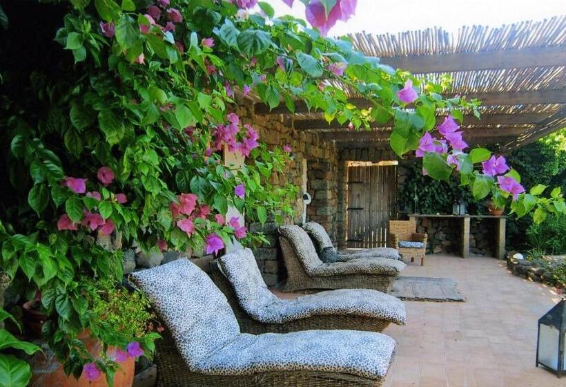 스위트, Don Mario Resort Adults Only