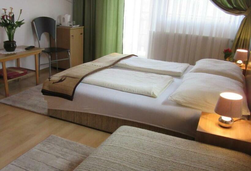 חדר סטנדרט לשלושה, Zsuzsa Panzió