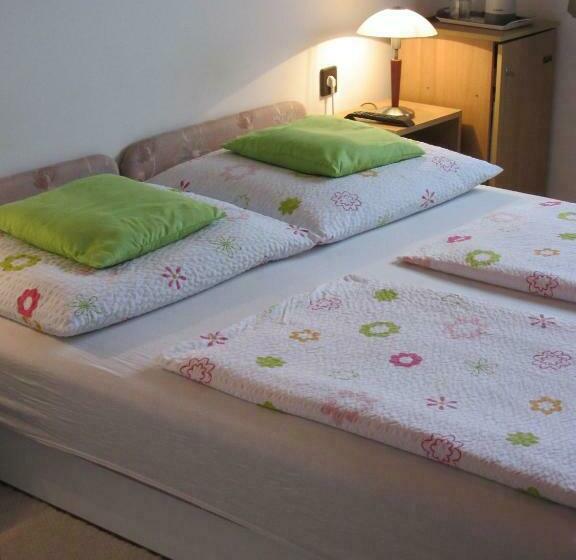 חדר סטנדרט, Zsuzsa Panzió