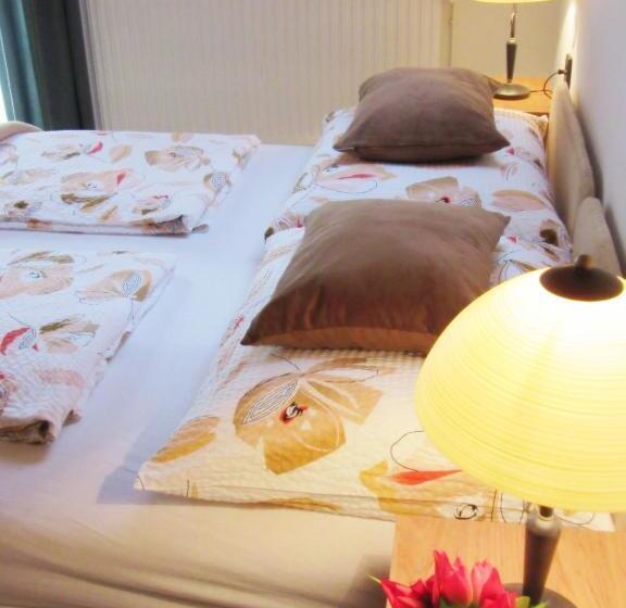 חדר סטנדרט, Zsuzsa Panzió