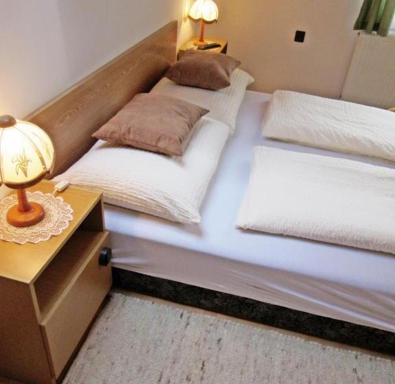 חדר סטנדרט, Zsuzsa Panzió