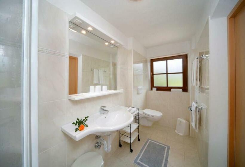 Номер Стандарт с Балконом, Garni Hotel Tritscherhof