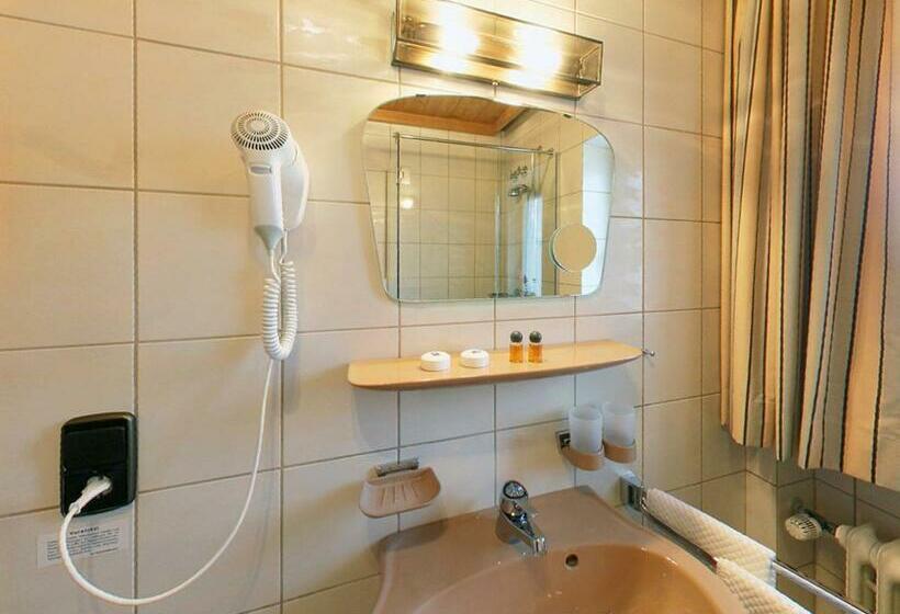 스탠다드 발코니 룸, Alpina