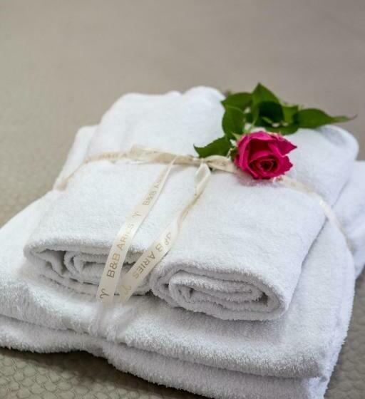 Deluxe Svit, B&b Aries