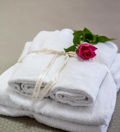 Standardrum, B&b Aries