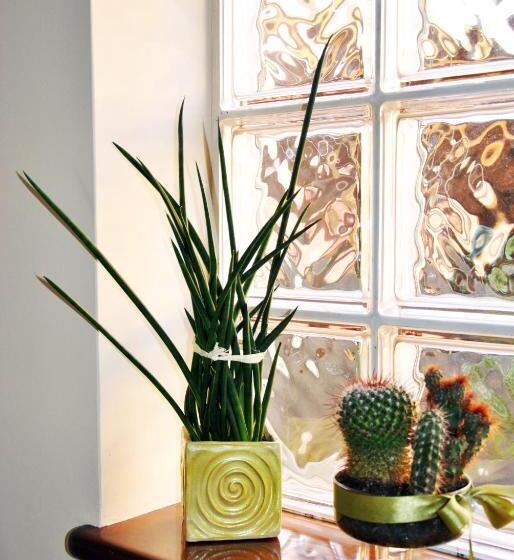 غرفة قياسية سرير كينج, Villa Stefania