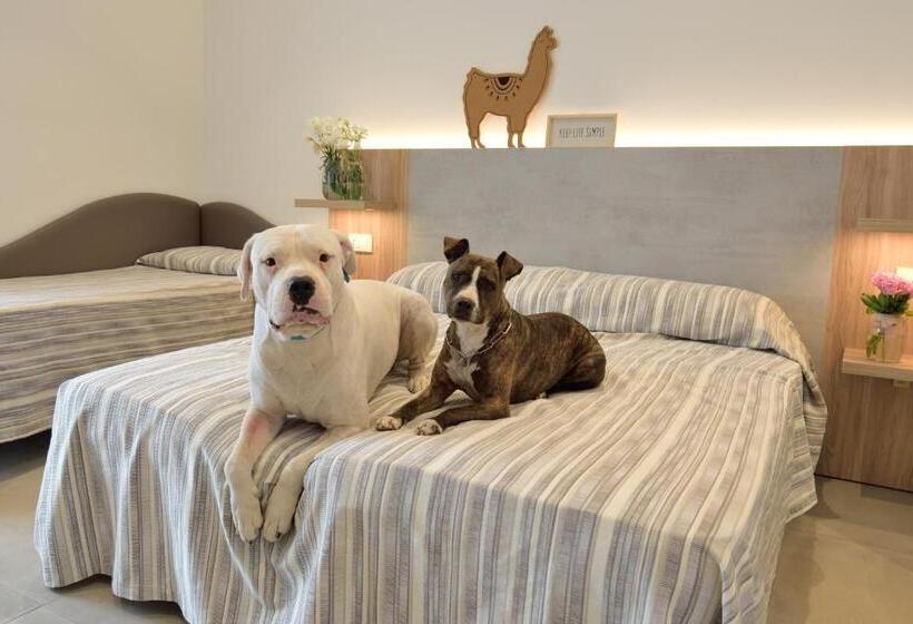 四人高级间, Abc