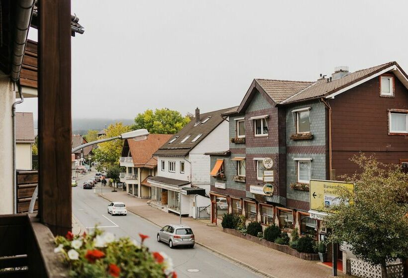 اتاق استاندارد یک نفره, Achtermann