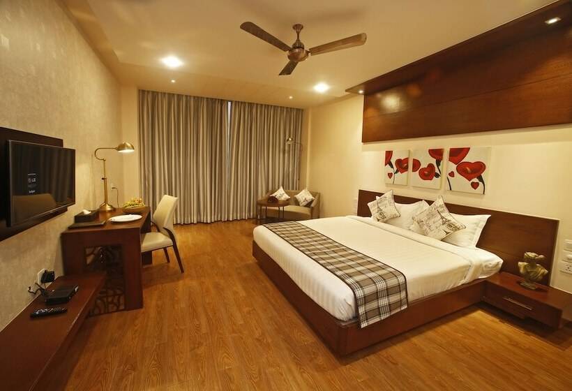 高级客房, Grand Xenia