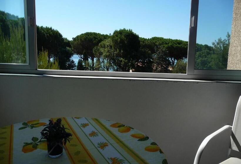 スタンダードスタジオ, Hôtel Les Eucalyptus