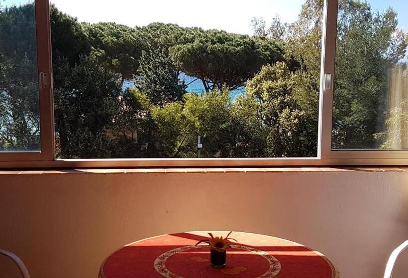 スタンダードスタジオ, Hôtel Les Eucalyptus