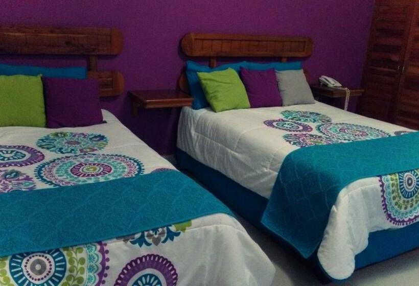 スタンダードルーム, Pastora