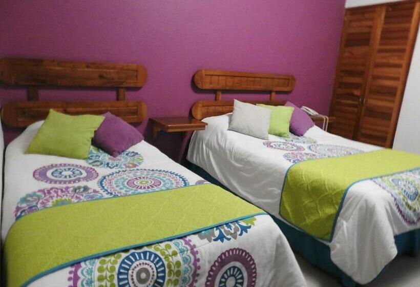 スタンダードルーム, Pastora