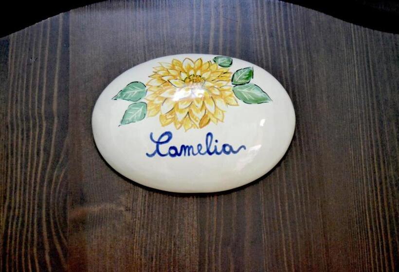 Cama en Habitación Compartida, Ostello Salento