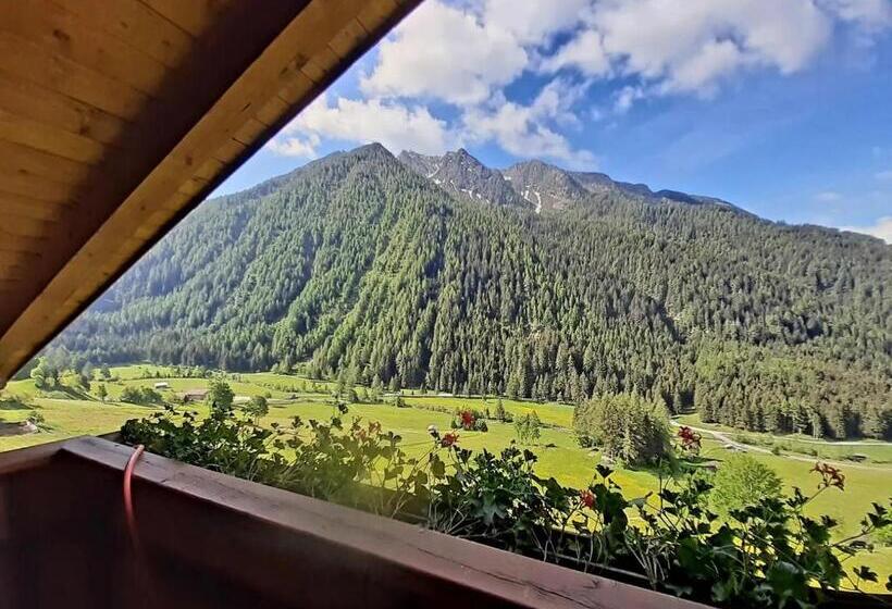 バルコニー付き１ベッドルームアパートメント, Gasthof Innerwalten