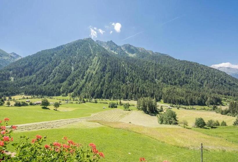 景色の見える一ベッドルームアパートメント, Gasthof Innerwalten