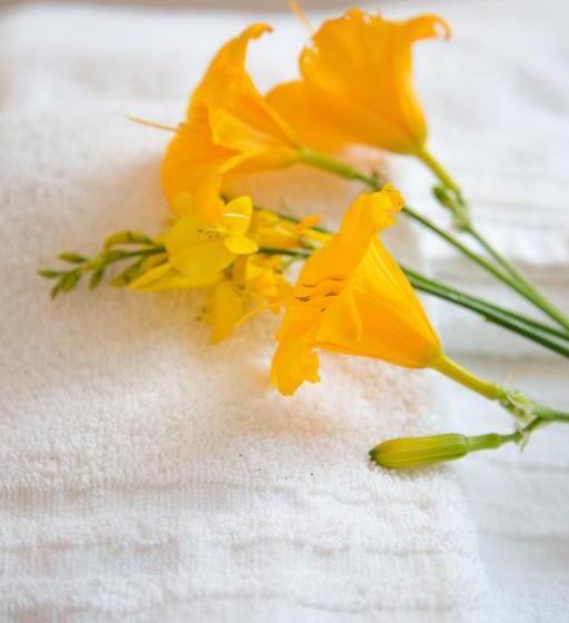 Standardrum, B&b Isa