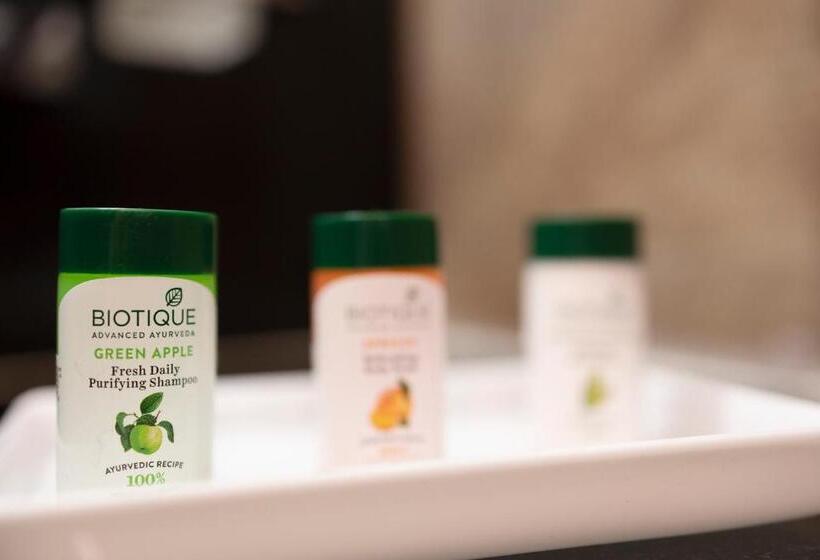 山の見えるスーペリアルーム, Yangthang Heritage