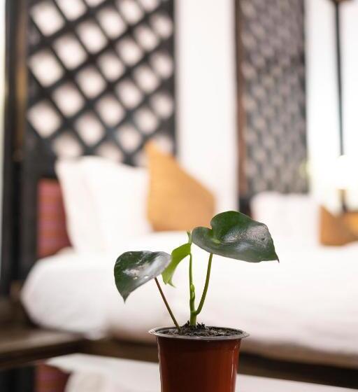 山の見えるスーペリアルーム, Yangthang Heritage