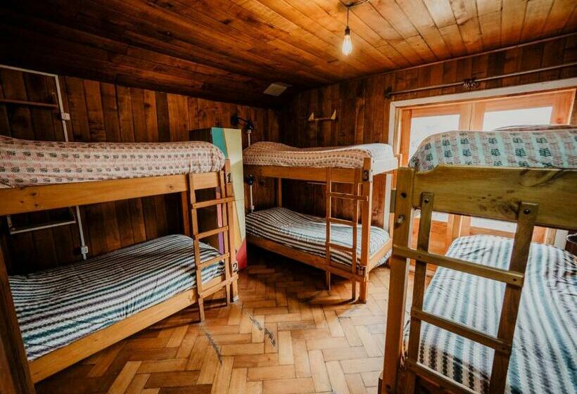 מיטה בחדר משותף, Chili Kiwi Lakefront Backpackers