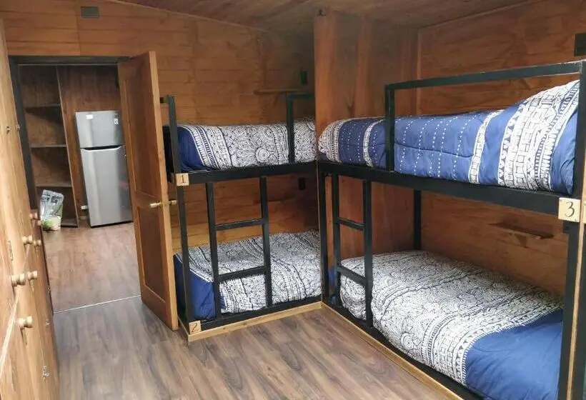 ルームシェアのワンベッド, Chili Kiwi Lakefront Backpackers