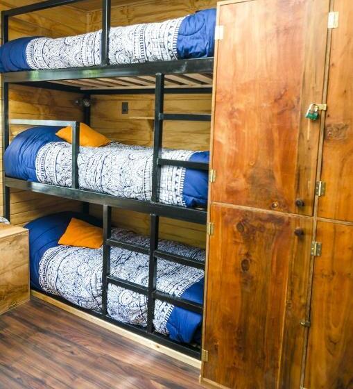 מיטה בחדר משותף, Chili Kiwi Lakefront Backpackers