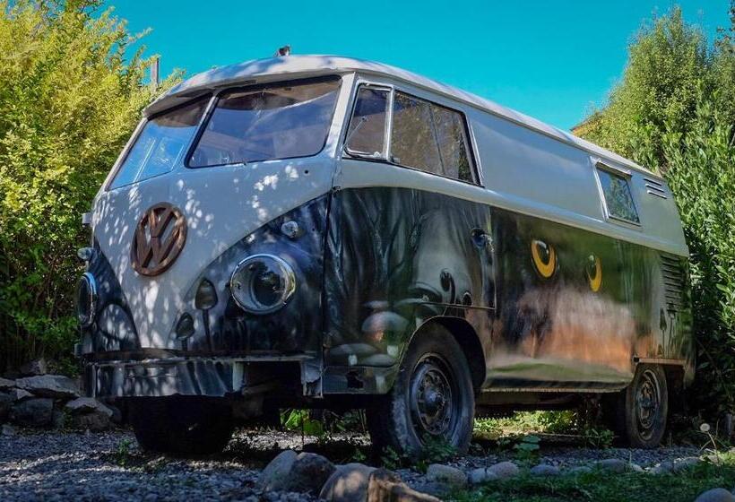 חדר סטנדרט, Chili Kiwi Lakefront Backpackers