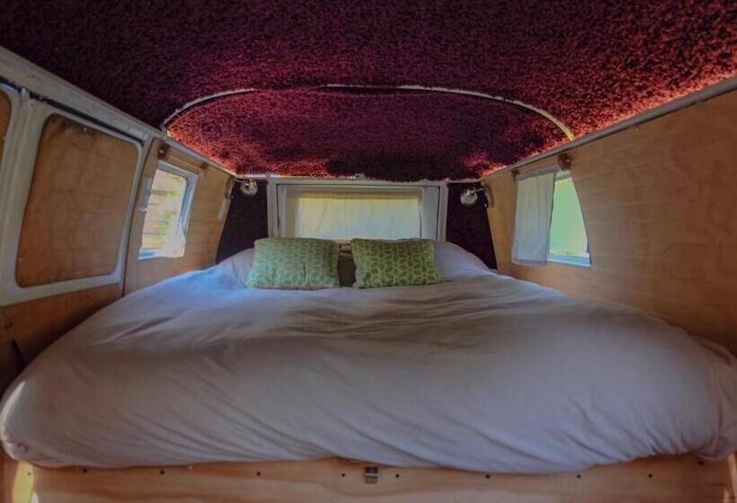 חדר סטנדרט, Chili Kiwi Lakefront Backpackers