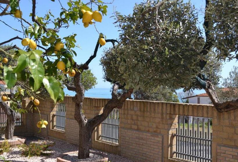 キングサイズベッドのスタンダードルーム, B&b Colle Acquabella