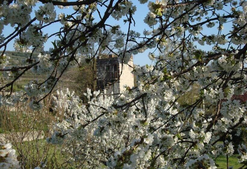 Люкс Классика, B&b La Grola