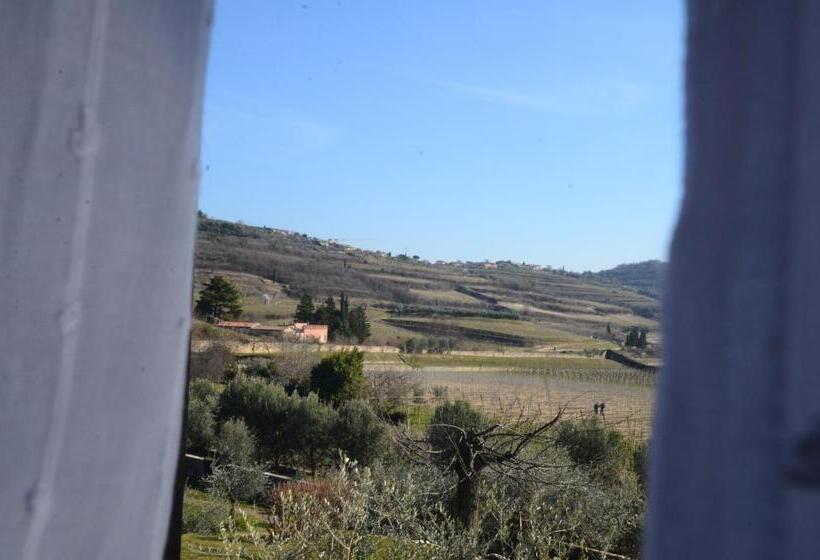 Апартаменты Superior 1 Спальня, B&b La Grola