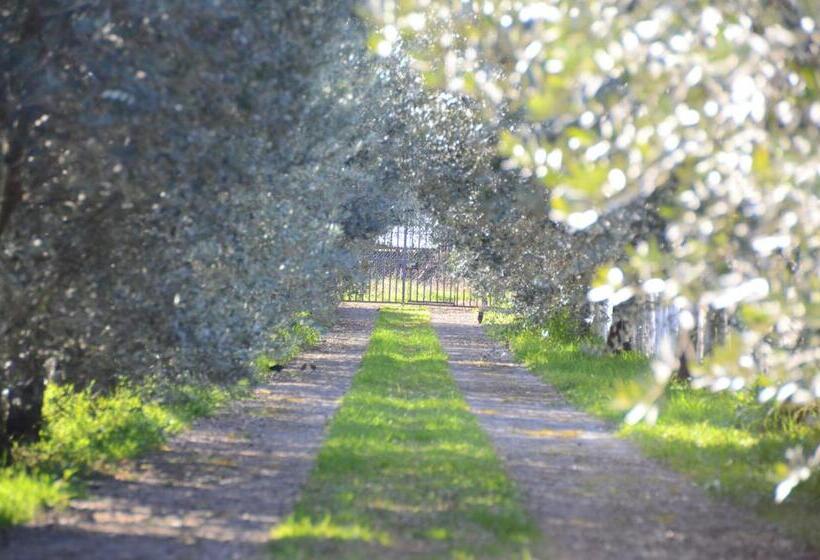 Люкс Классика, B&b La Grola