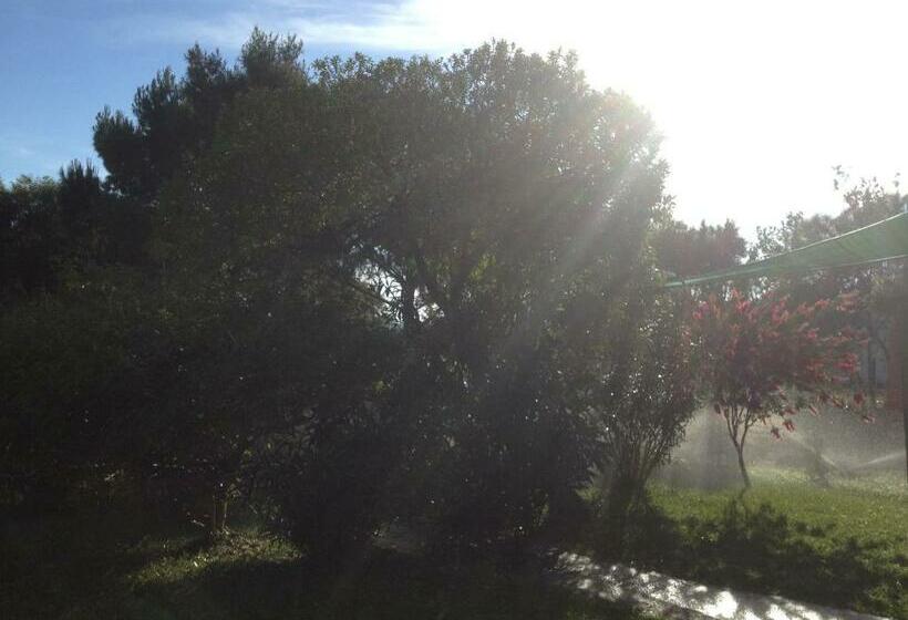 スタンダードルーム, La Contea