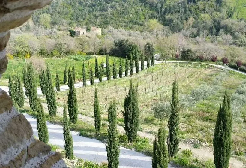 身障者適用スタンダードルーム, Feudi Enchestre B&b Agropoli
