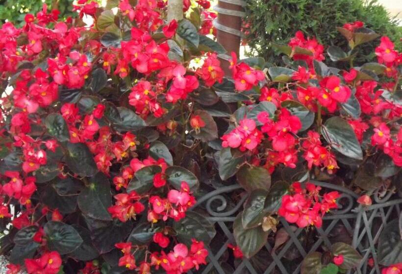 4인용 스탠다드 룸, Cristina