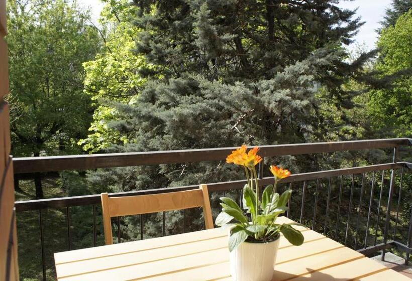 标准房带园景, Lotus B&b