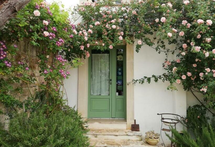 غرفة قياسية, B&b Giovannarolla Green House