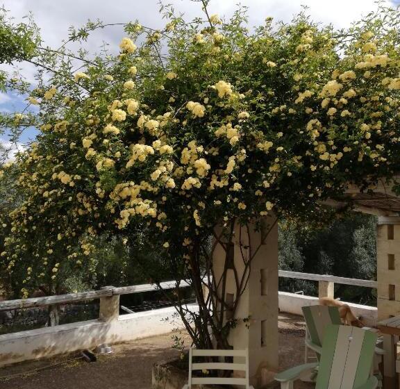 غرفة قياسية, B&b Giovannarolla Green House