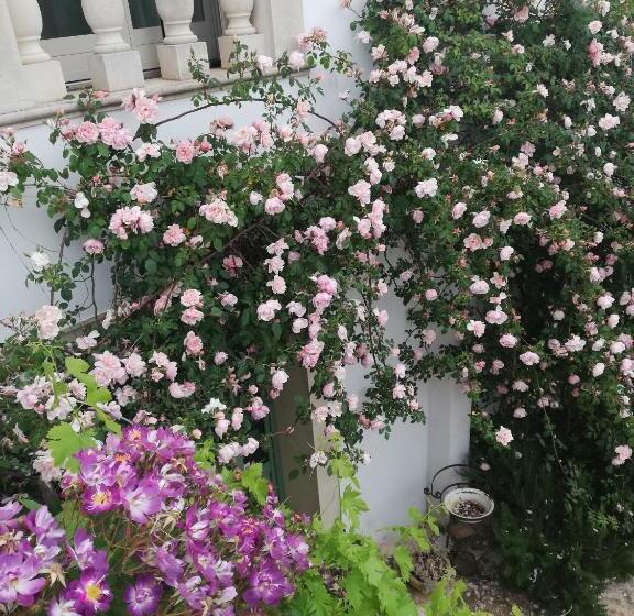 غرفة قياسية, B&b Giovannarolla Green House