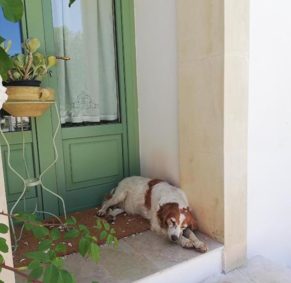 غرفة قياسية, B&b Giovannarolla Green House