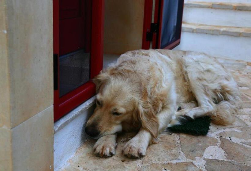 غرفة قياسية ثلاثية, B&b Giovannarolla Green House