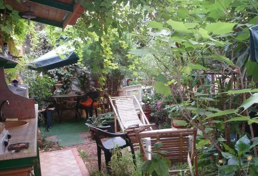 スタンダードルーム, The Garden