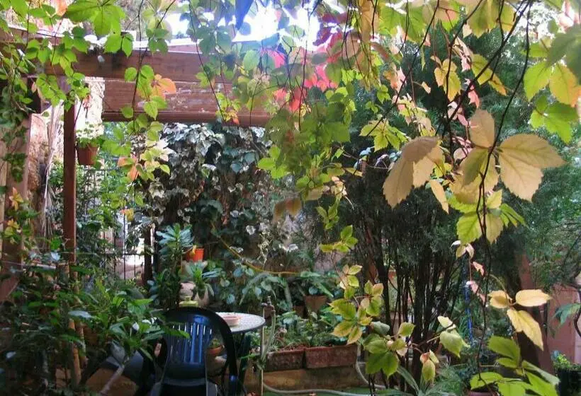 スタンダードルーム, The Garden