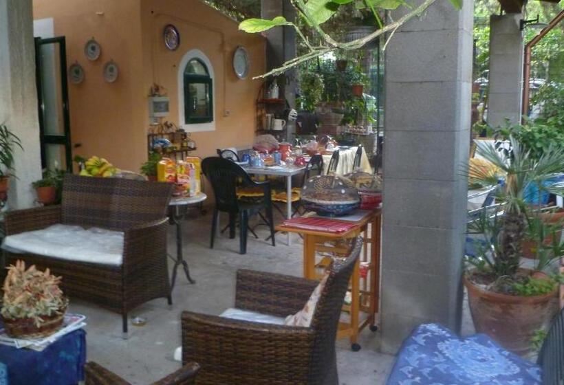 标准间, The Garden