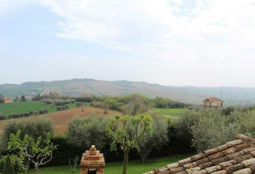 סוויטה דלוקס, Villarondanella